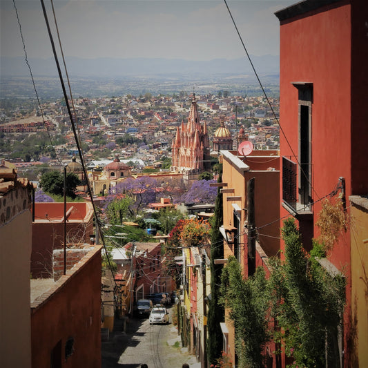 Learning in San Miguel de Allende